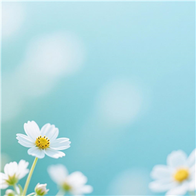 唯美小花壁纸背景图片